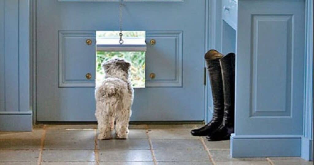 Extra Large Dog Door for Exterior Door