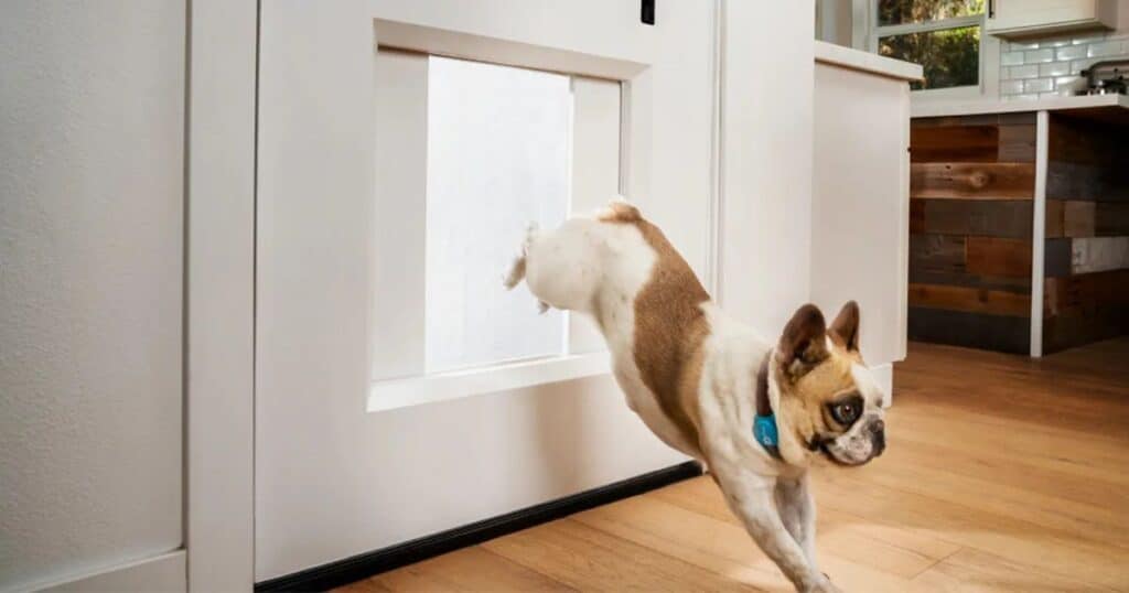 Sliding door doggy door