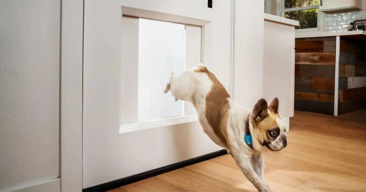 Sliding door doggy door