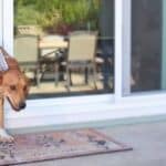 Sliding glass doggie door