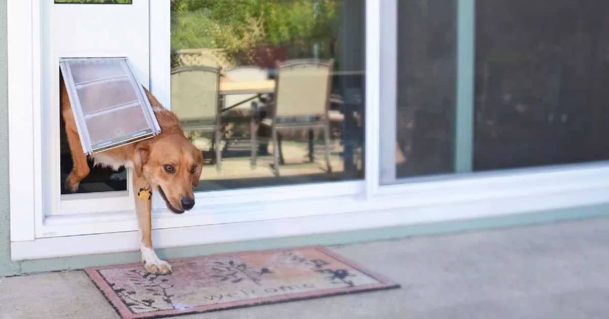 Sliding glass doggie door