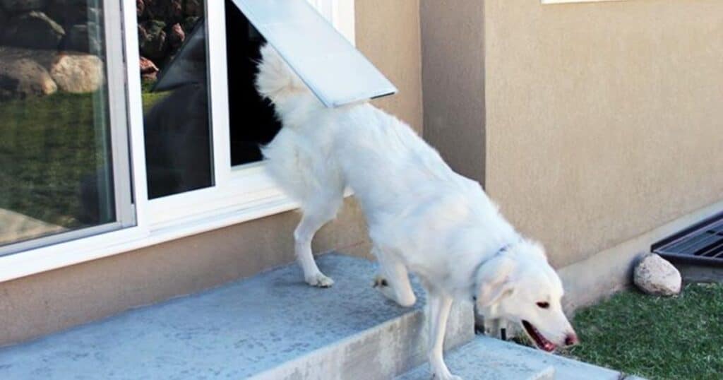 Sliding glass pet door