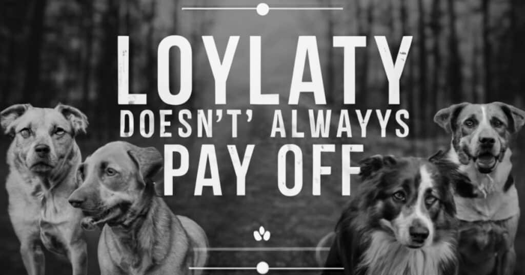 Loyalty doesn't always pay off