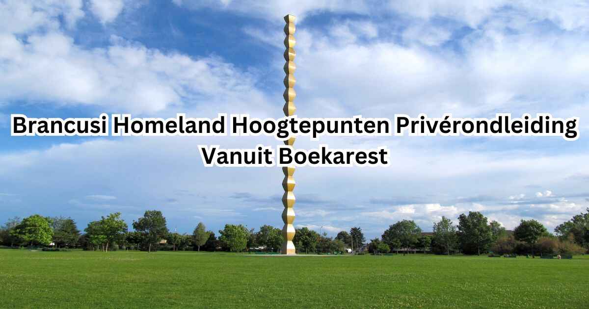 Brancusi Homeland Hoogtepunten Privérondleiding Vanuit Boekarest