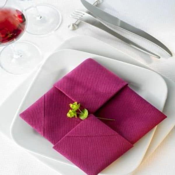 The Art of Napkin Folding