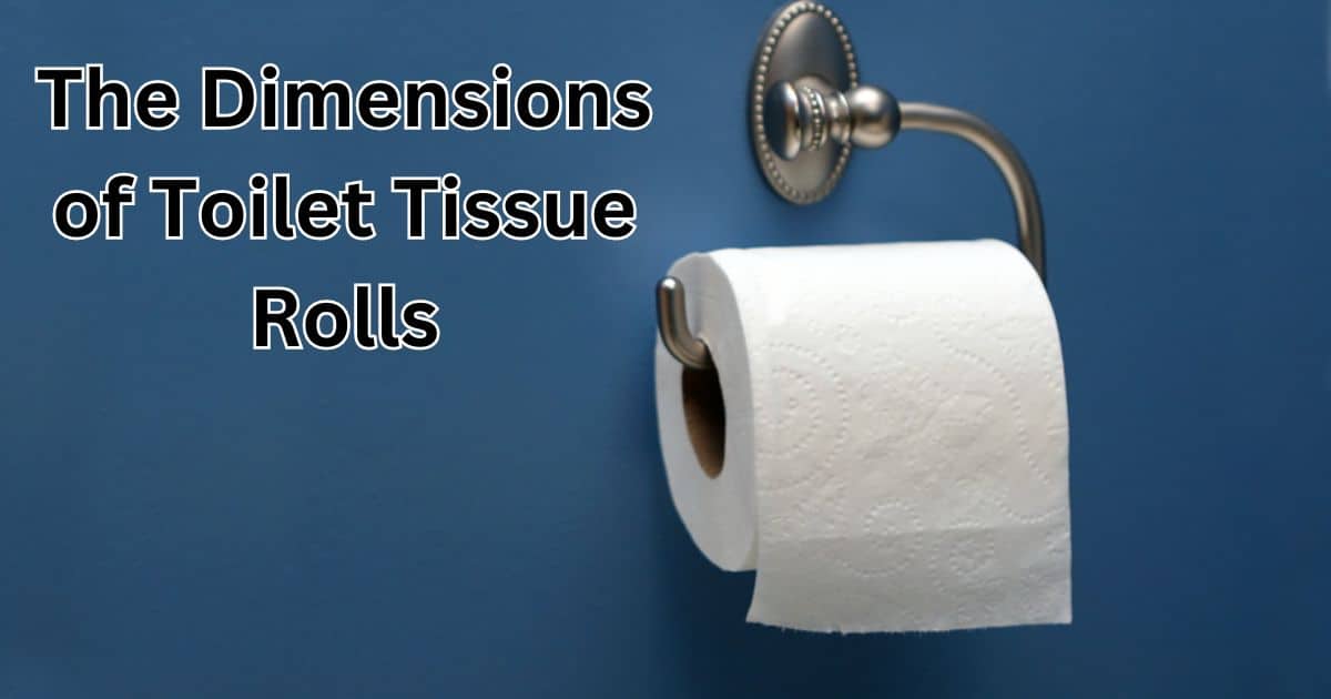 The Dimensions of Toilet Tissue Rolls: A Surprisingly Well-Designed Everyday Marvel